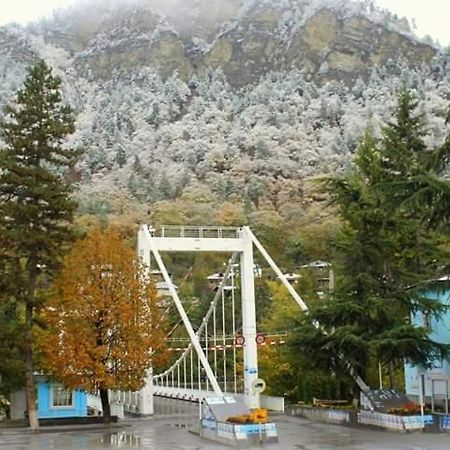 Tamarioni Hotel Bordzjomi Buitenkant foto